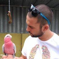 RuirJ