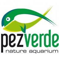 PEZVERDE