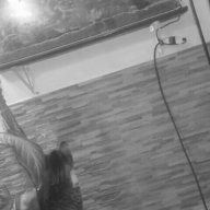 ailen