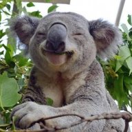 ElKoalaPepe