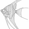 adrian_128