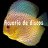 AcuarioDeDiscos