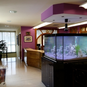 Acuario 1250 litros