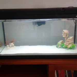 Preparación acuario 110l