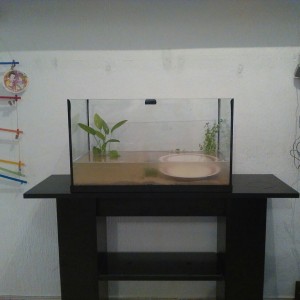 mi acuario en proceso de llenado