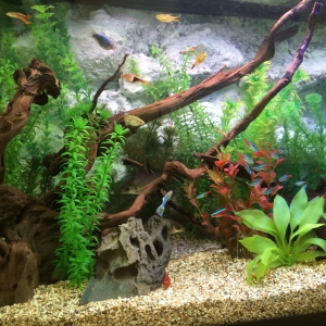 Acuario 400 L - Vista Lateral Izquierdo