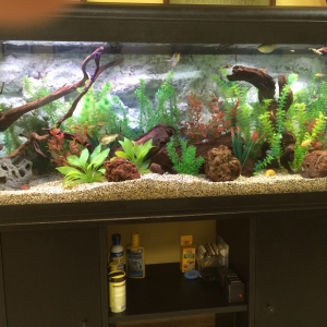 Acuario 400 L - Vista General