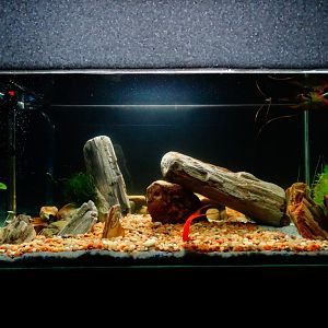 Acuario rocoso terminado!