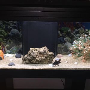 Acuario