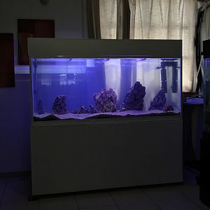 500 Litros Agua Dulce " Yang "