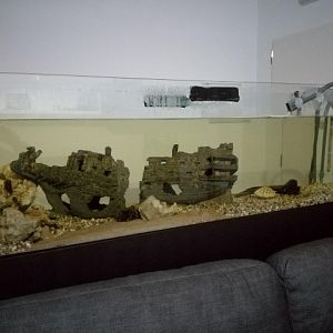 Acuario 300 litros