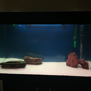 126L redecorado