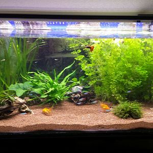 nuevo acuario 149 litros reales