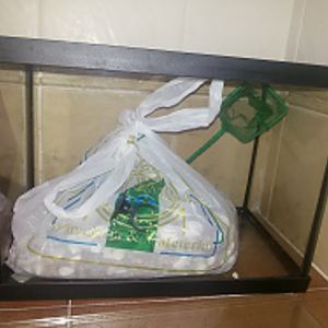 Acuario para nuevo uso