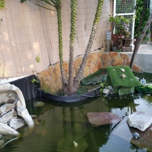 acuario