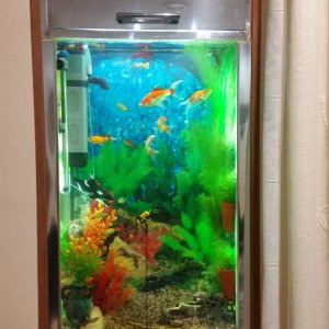 Acuario empotrado en pared 50x100x20 fabricación propia