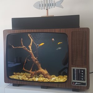 Acuario Televisión