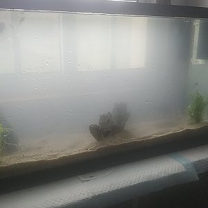 Nuevo aspecto. Con arena y plantas naturales.