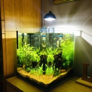 Nano acuario 35L