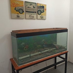 Urna y mesa