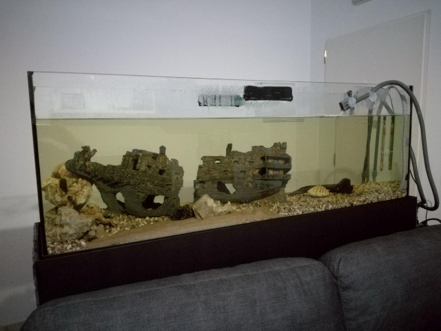 Acuario 300 litros