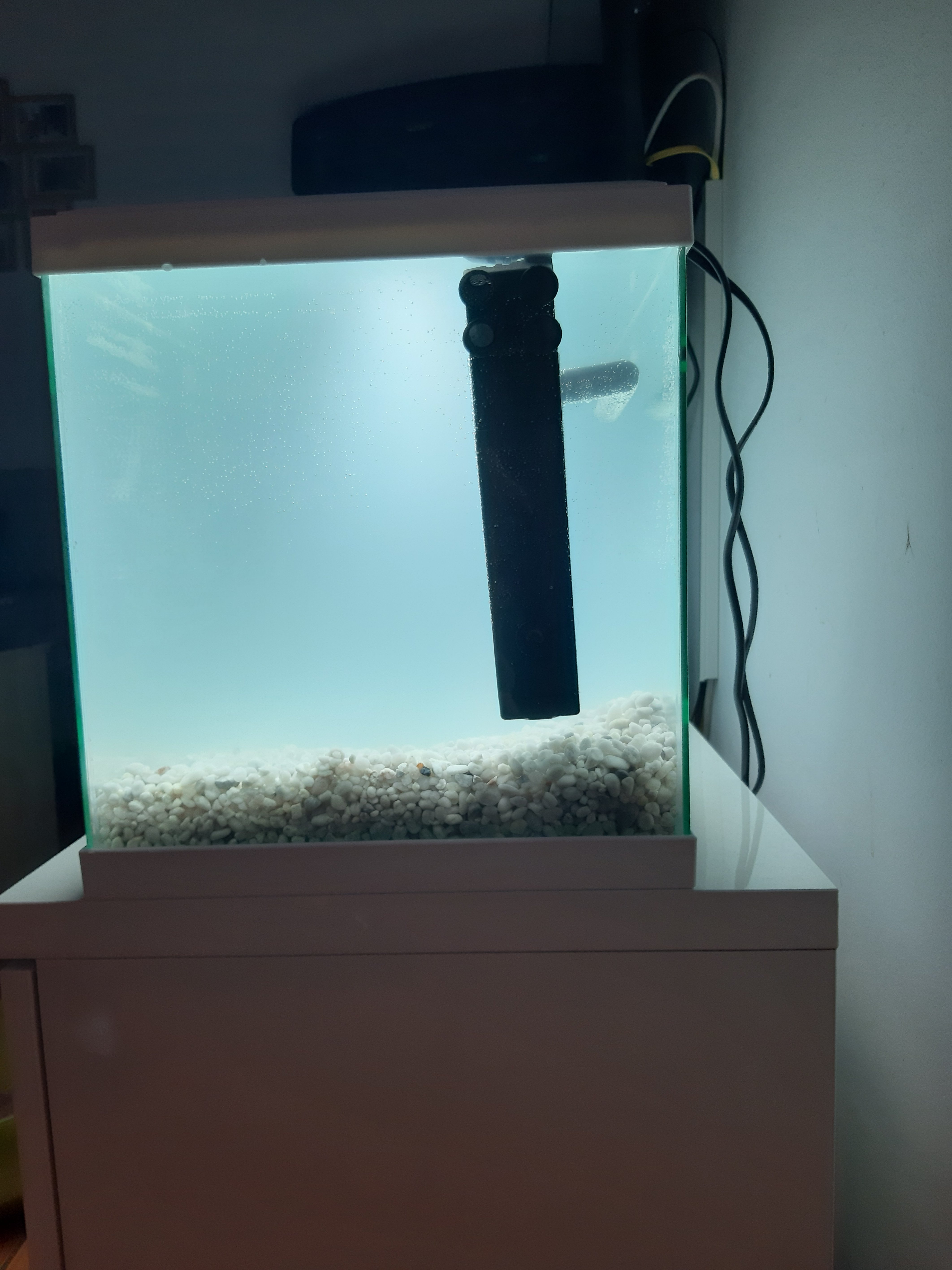 Filtro de Acuario