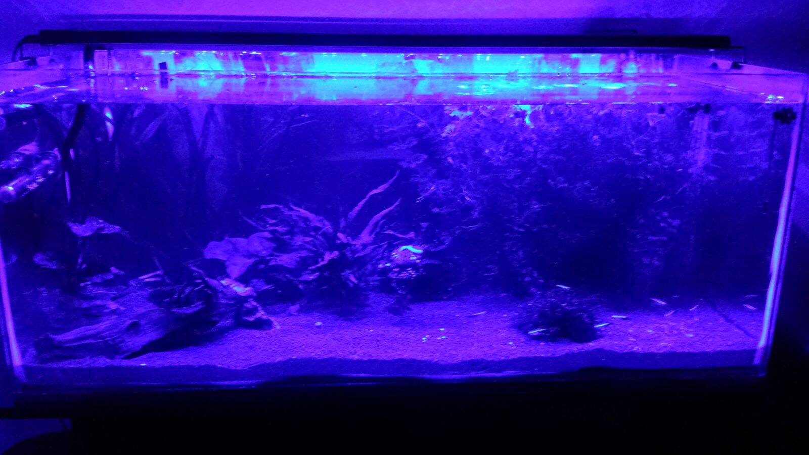 nuevo acuario 149 litros reales iluminacion nocturna